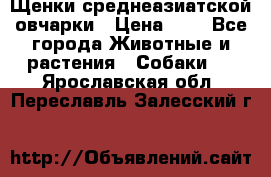 Щенки среднеазиатской овчарки › Цена ­ 1 - Все города Животные и растения » Собаки   . Ярославская обл.,Переславль-Залесский г.